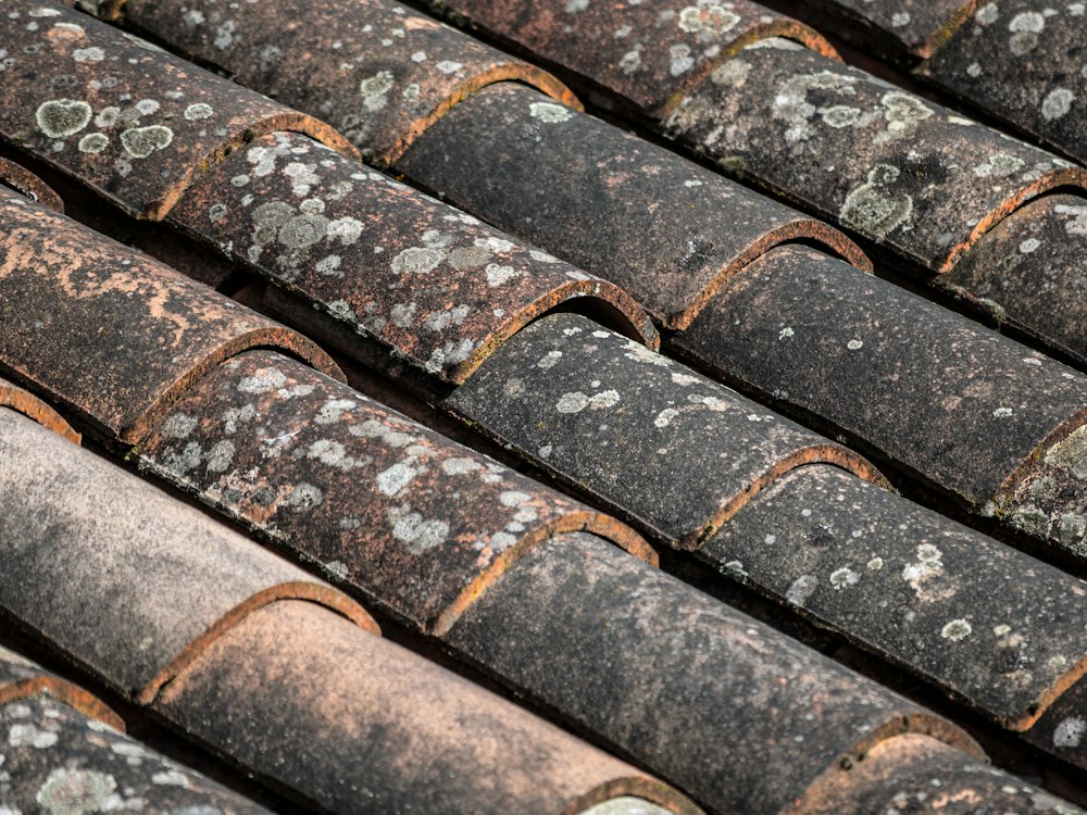 Tuiles anciennes recouvertes de mousse et de lichen